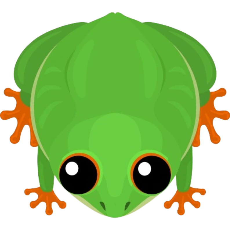 Cute frog